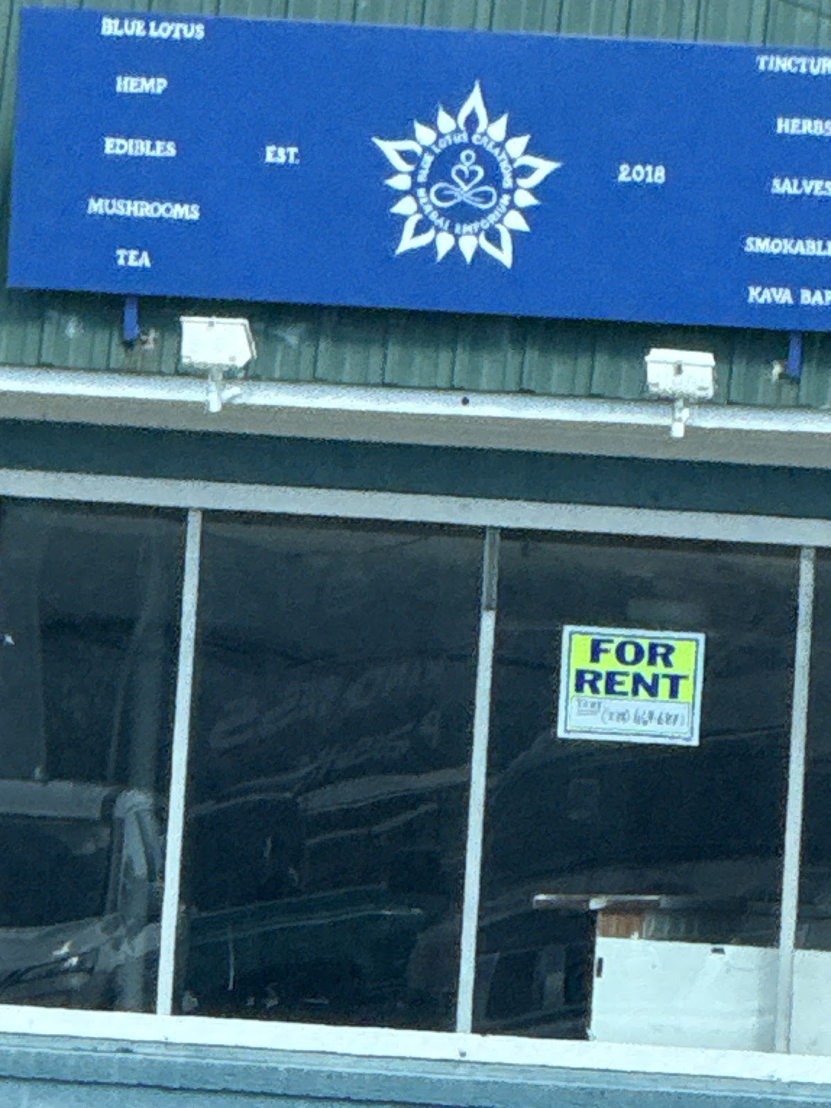 Blue Lotus Creations Herbal Emporium and Kava Bar photo 5