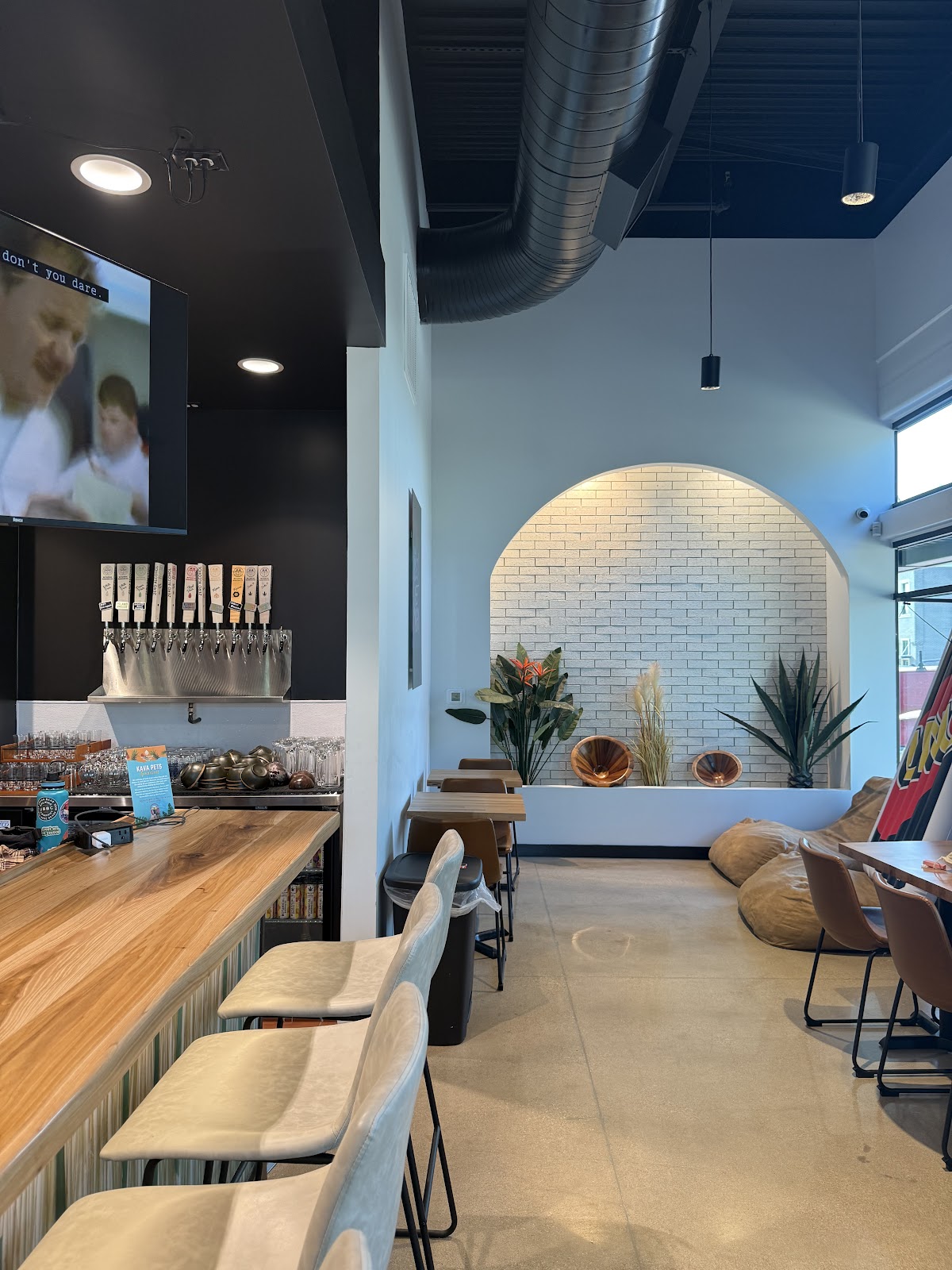 Kava Culture Kava Bar photo 3