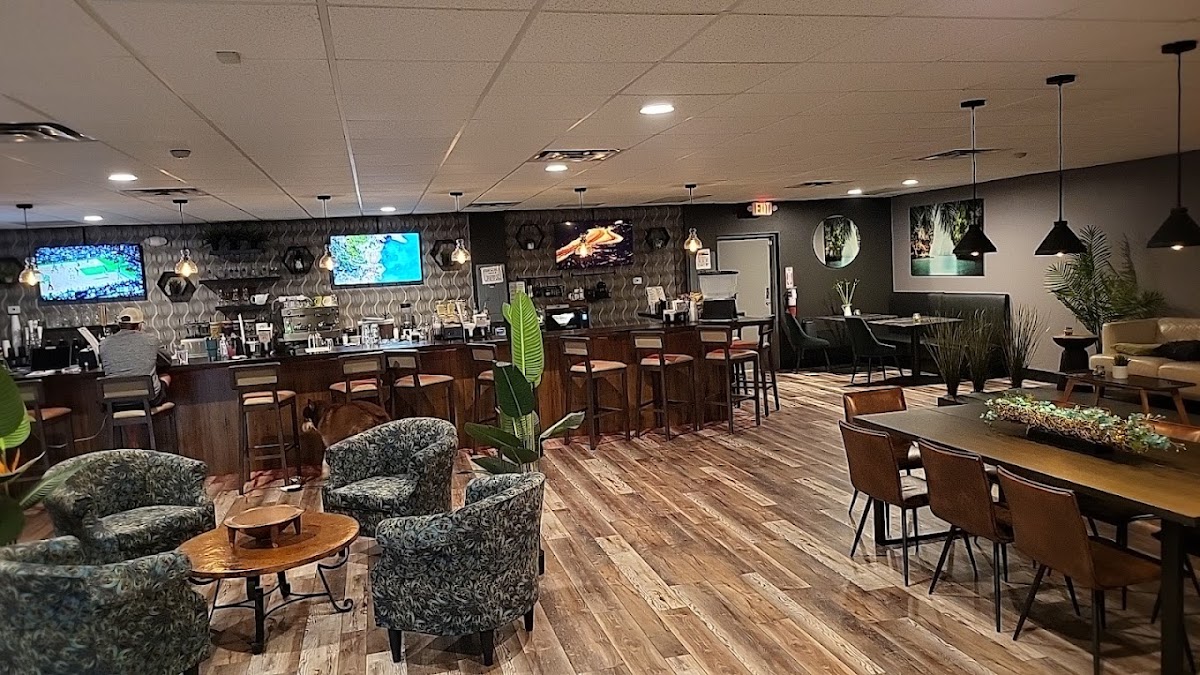 The Chill Room Kava Bar of Pinellas Park photo 1