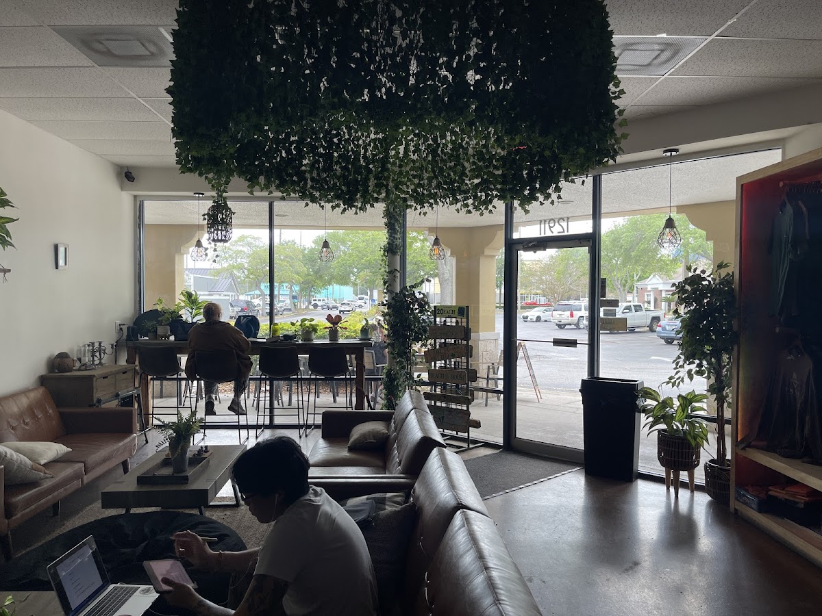 Tribe Tea House and Kava Bar Largo photo 7