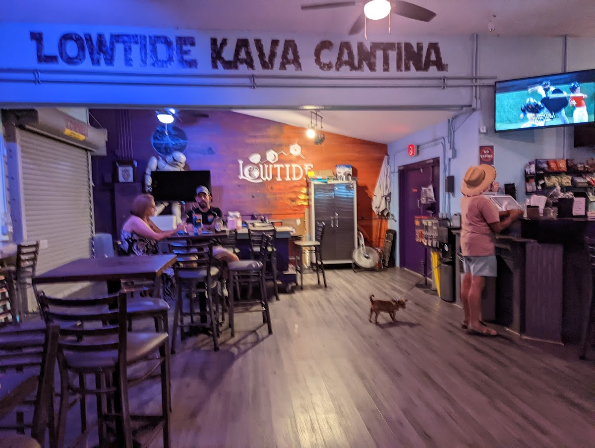 Low Tide Kava Bar photo 3