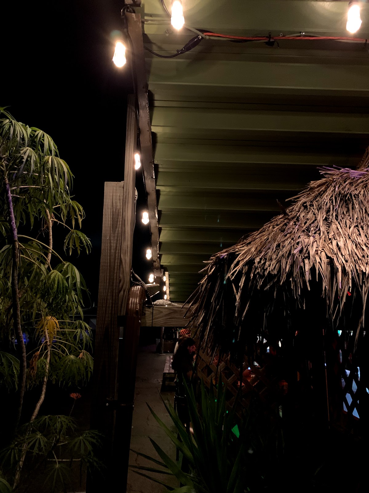 Bula Kava Bar & Coffee House