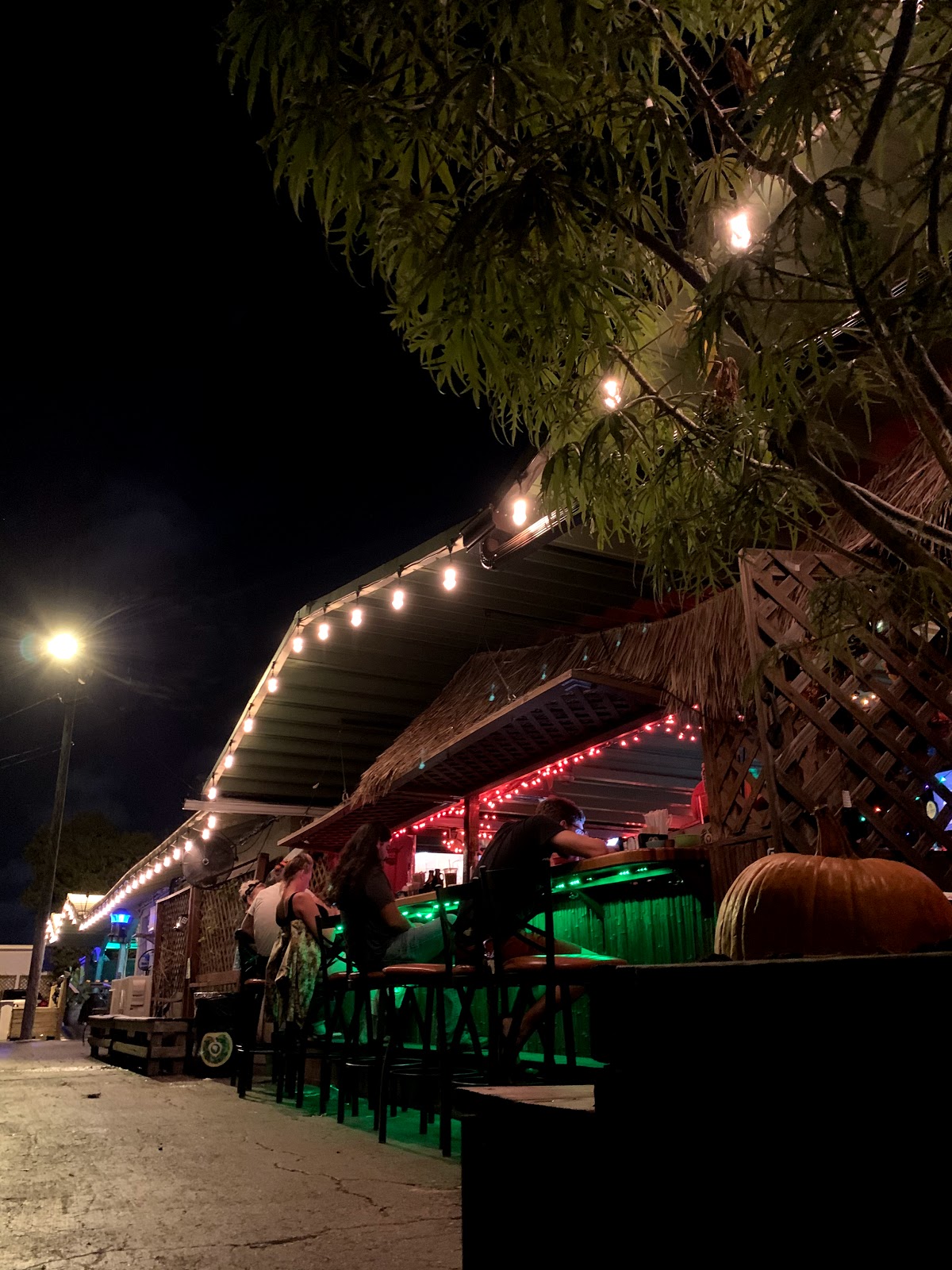 Bula Kava Bar & Coffee House photo 4