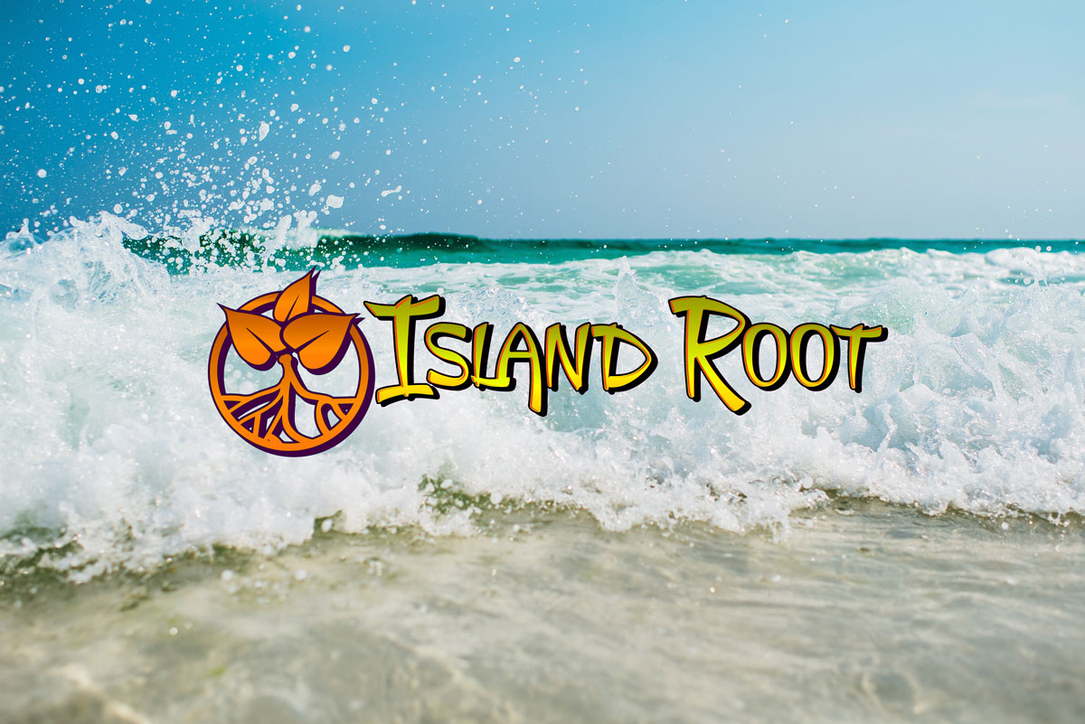 Island Root Kava Bar Suntree photo 2