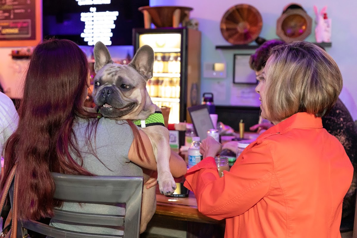 Island Root Kava Bar Suntree photo 7