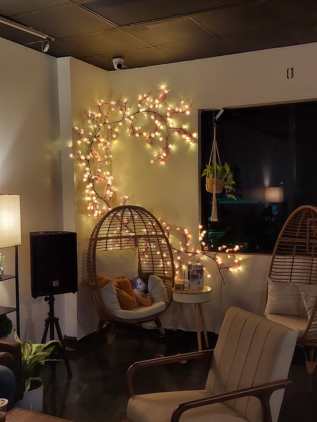 Calm Collective Kava Bar (Rockledge) photo 5