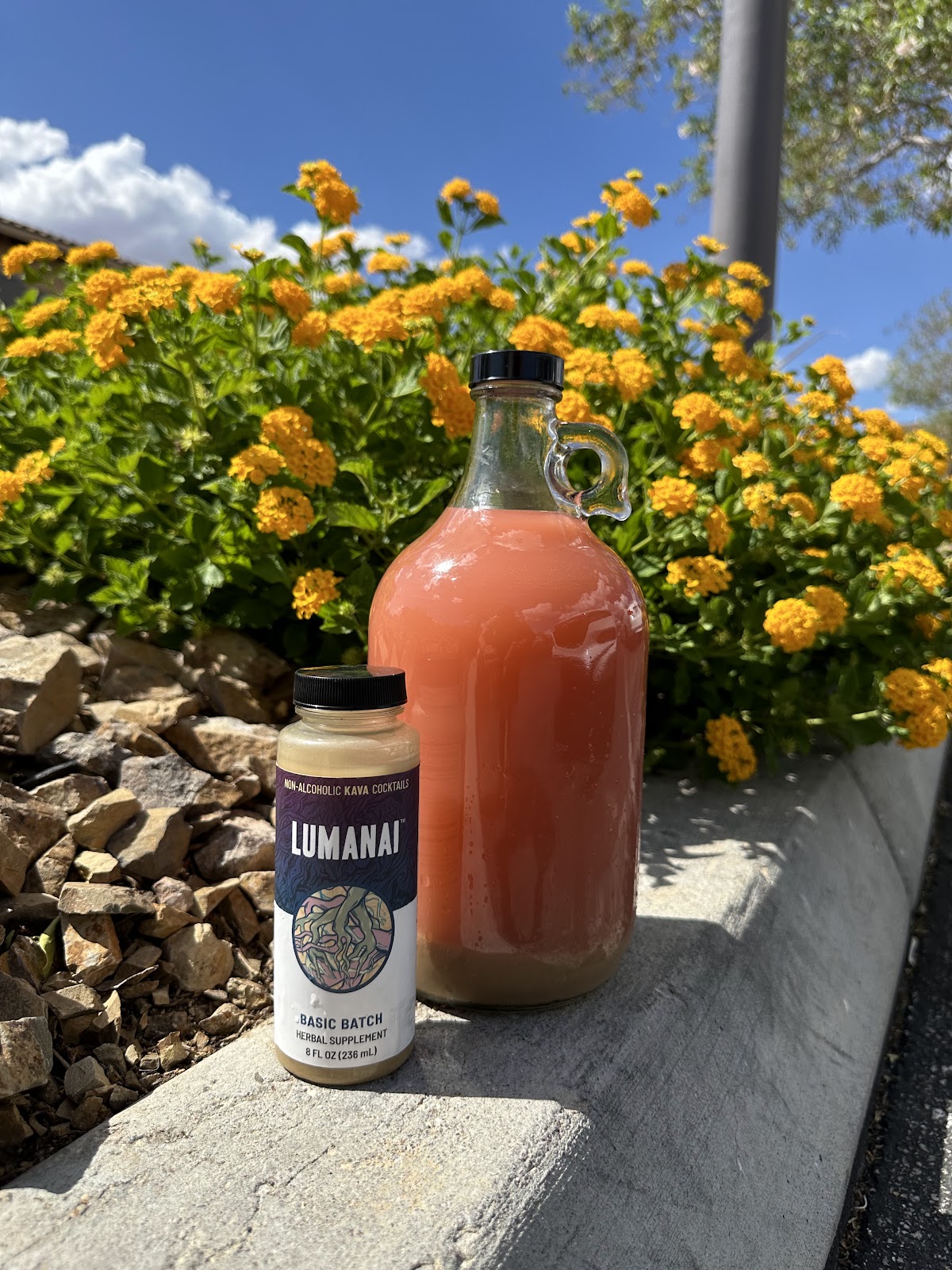 LUMANAI KAVA photo 5