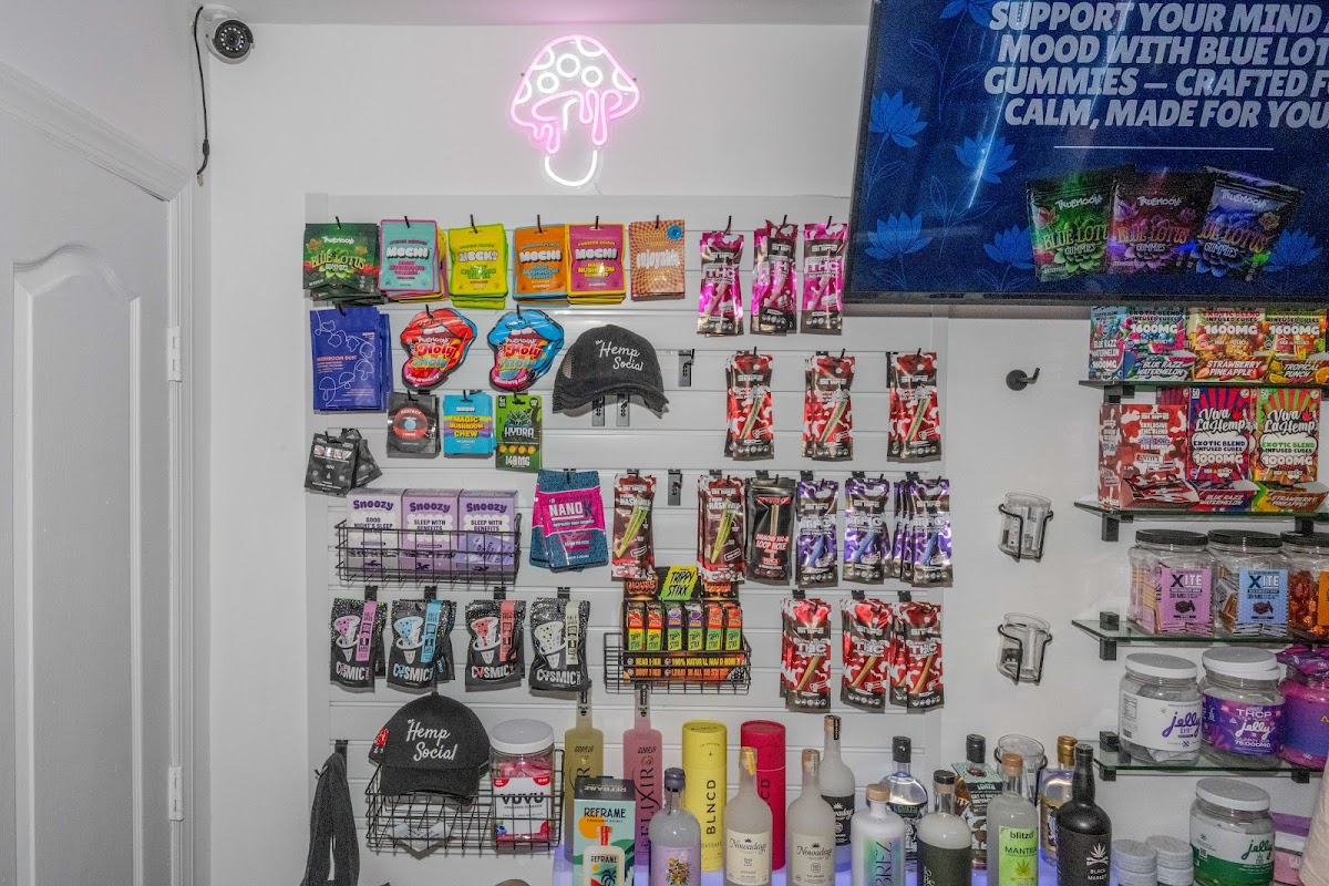 The Hemp Social - Downtown THC, CBD, KRATOM, KAVA, WELLNESS MUSHROOMS, NOOTROPICS & MAD HONEY! photo 6