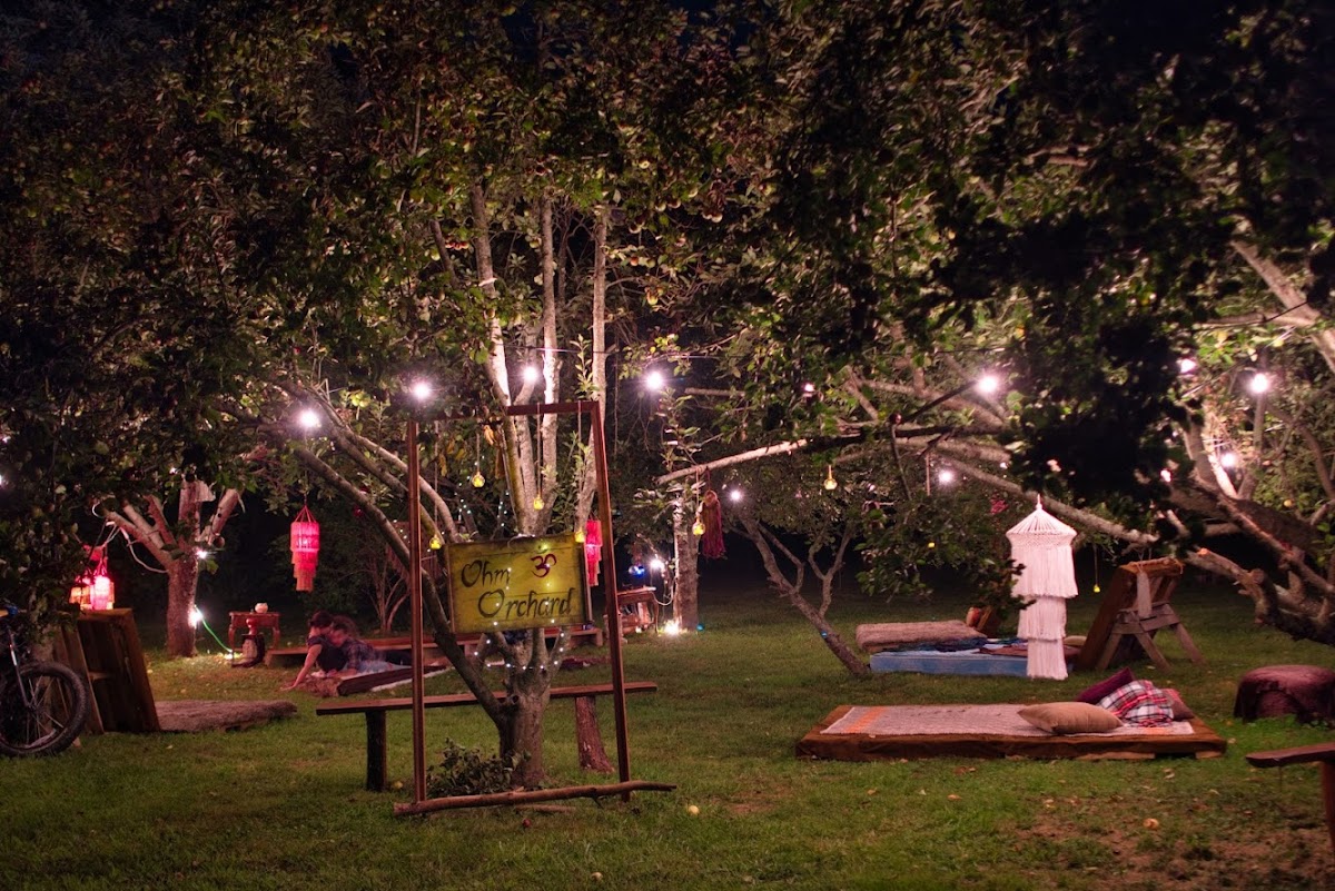 Vintage Kava photo 5