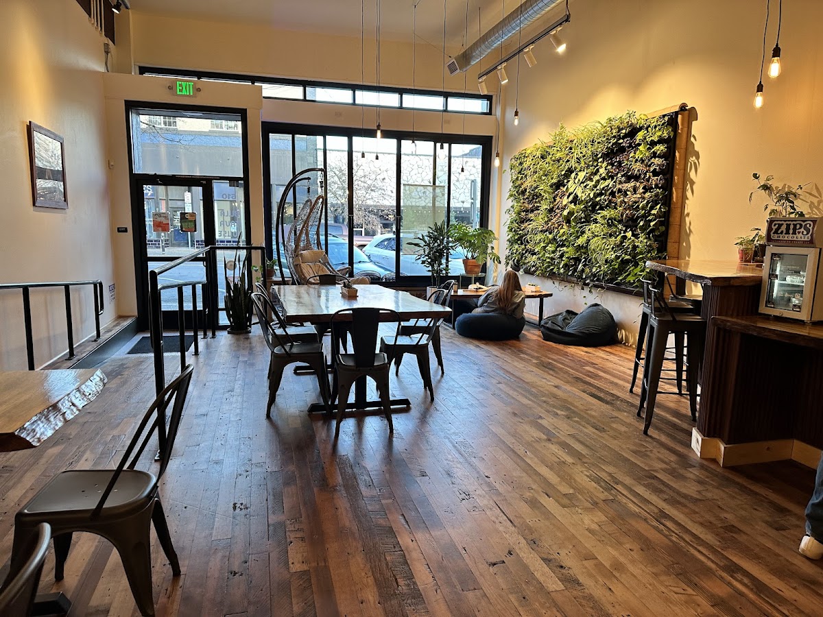 Bula Kava House photo 2