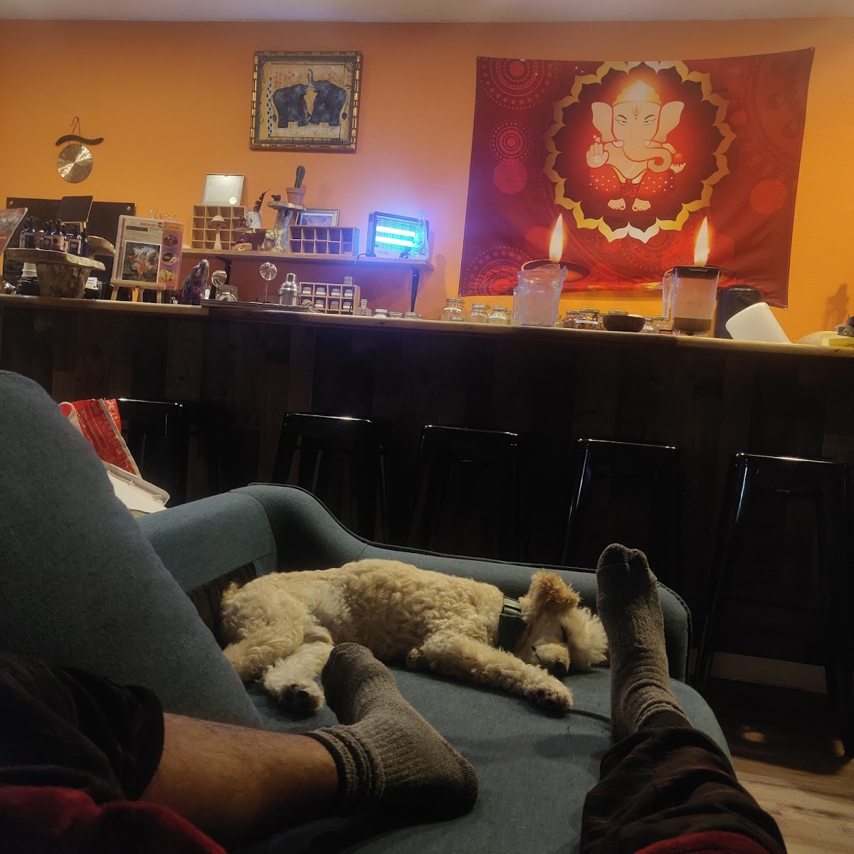 Maha Kava Cafe photo 6