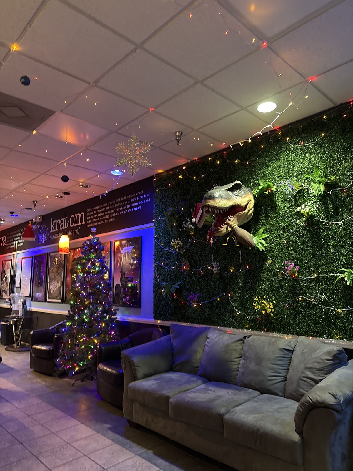 Island Vibes Kava Bar - Jensen Beach photo 7