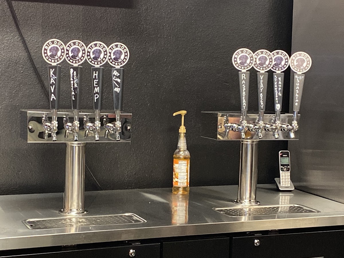 Liftoff Lounge Kava & Kombucha photo 3