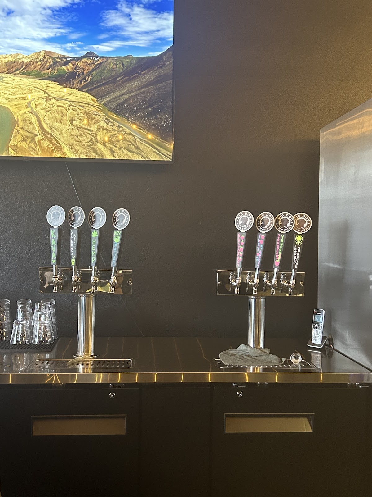 Liftoff Lounge Kava & Kombucha photo 5