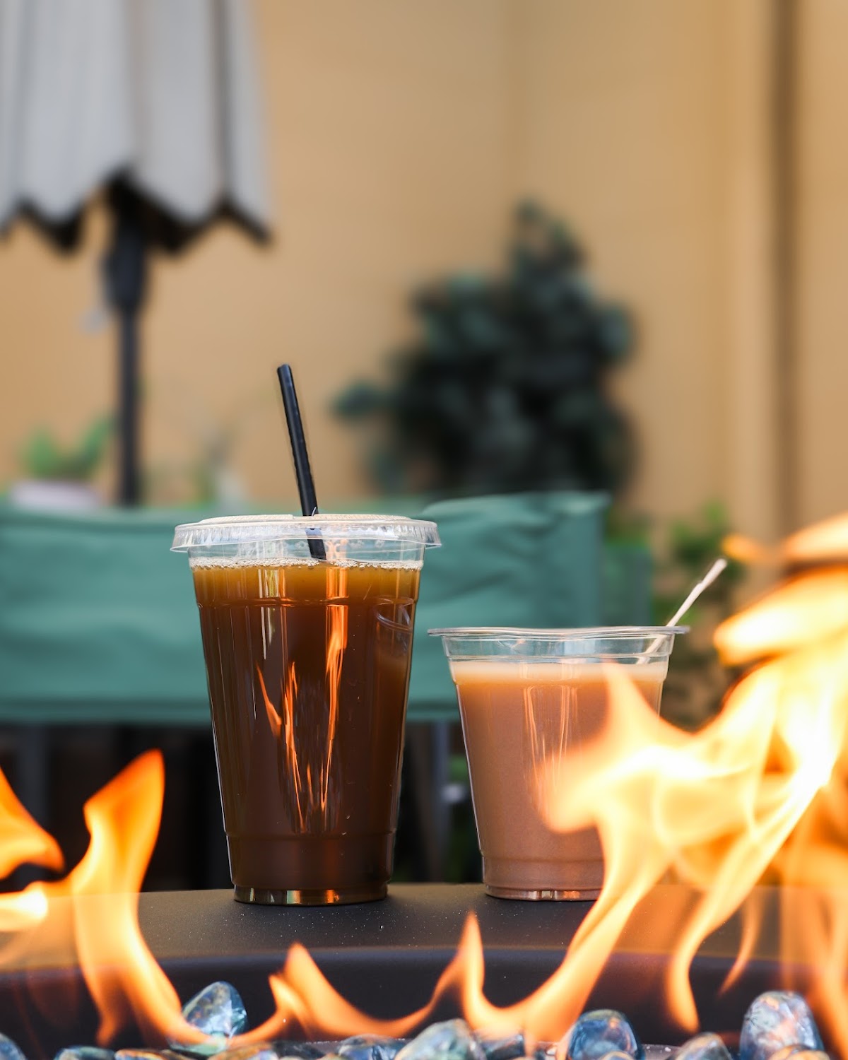 Tribe Tea House and Kava Bar photo 1