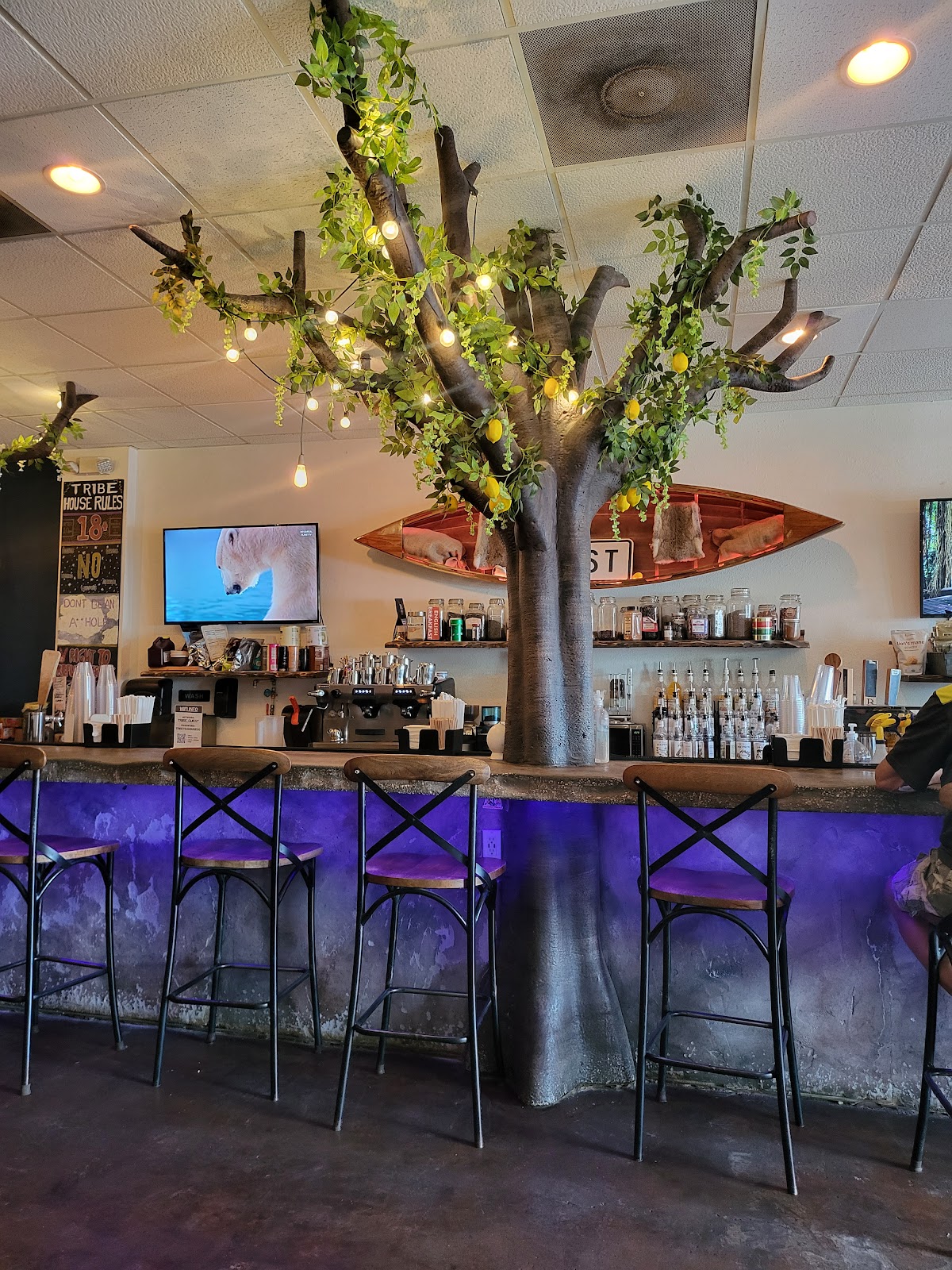 Tribe Tea House and Kava Bar photo 3