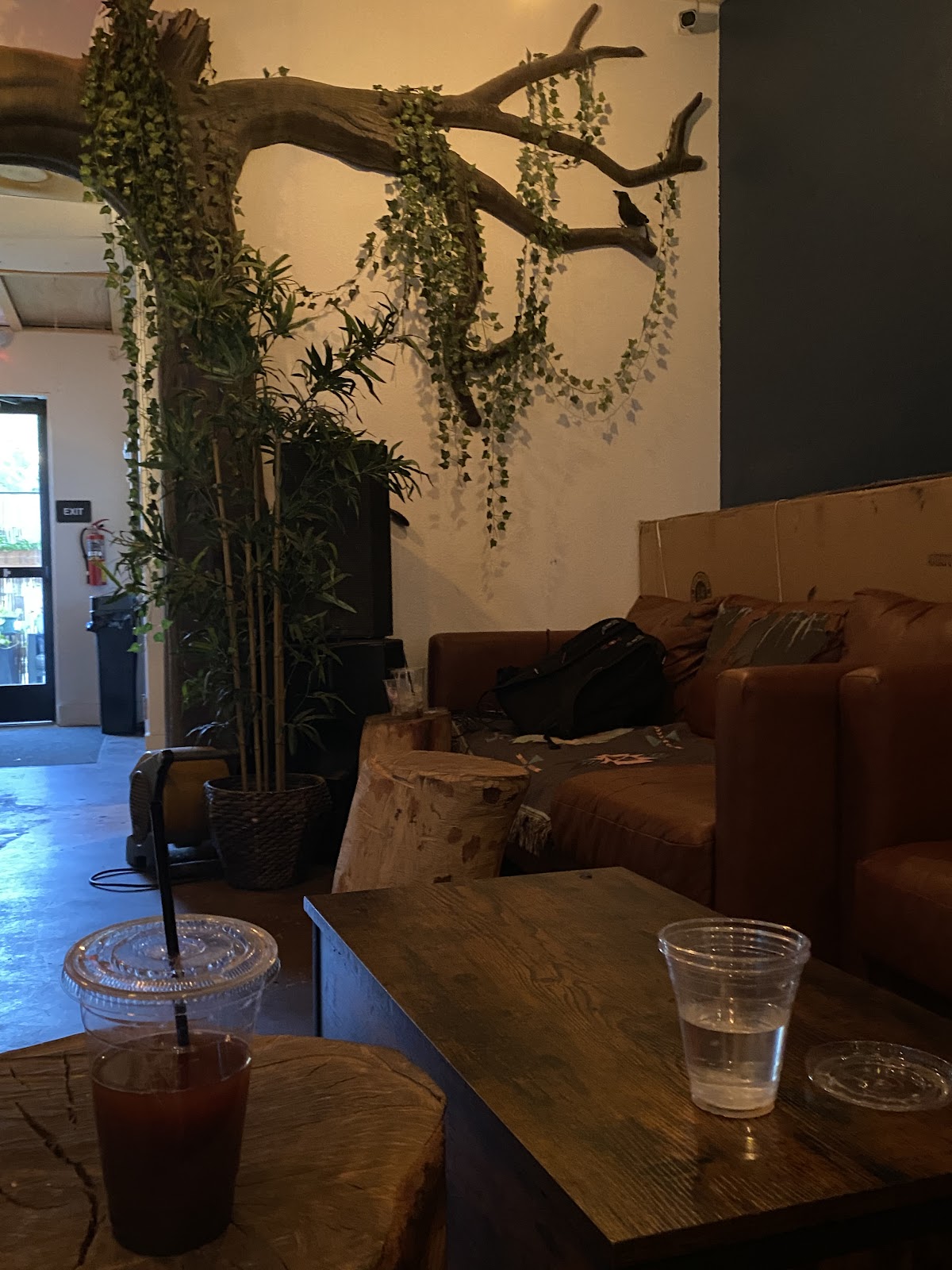 Tribe Tea House and Kava Bar photo 6