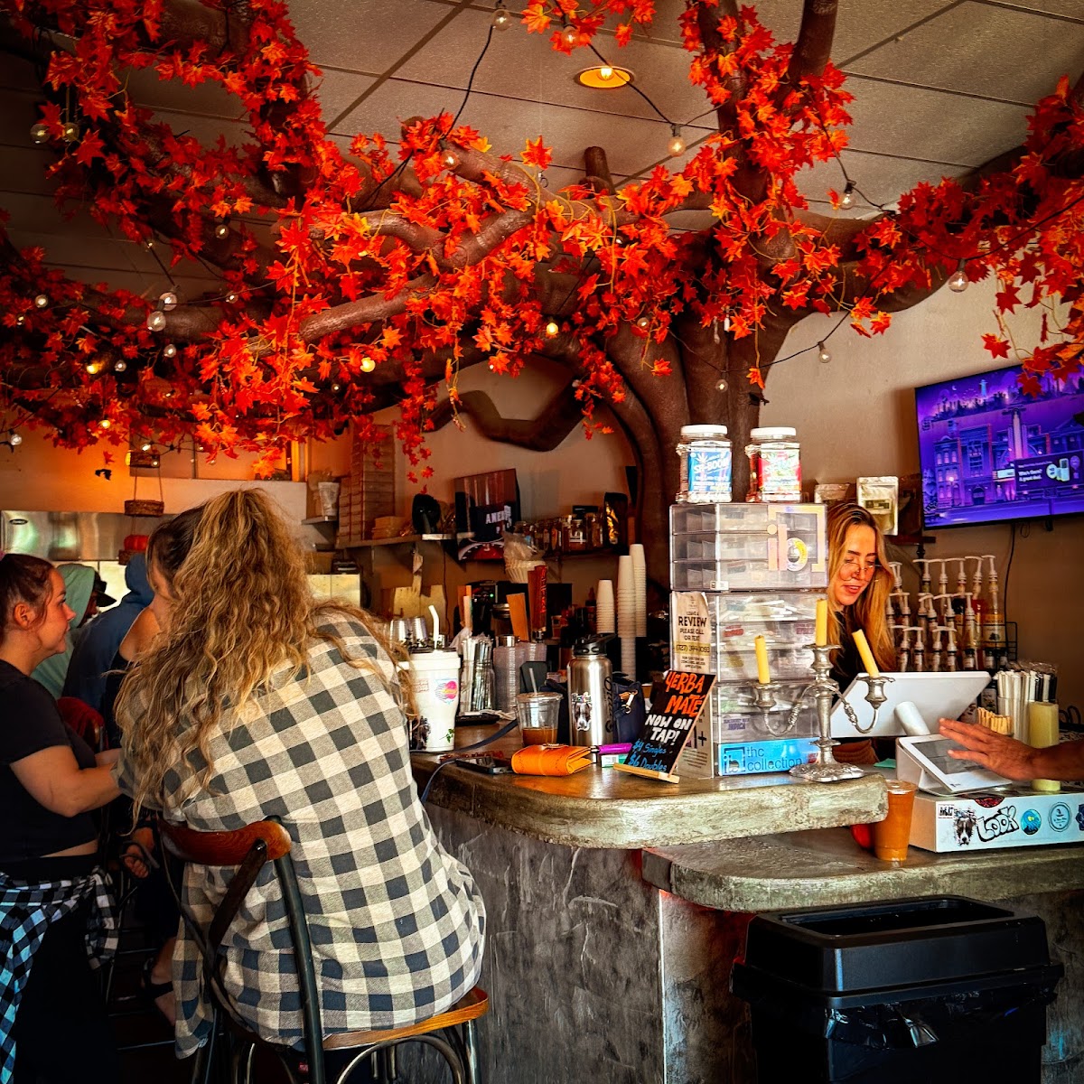 Tribe Tea House and Kava Bar photo 8