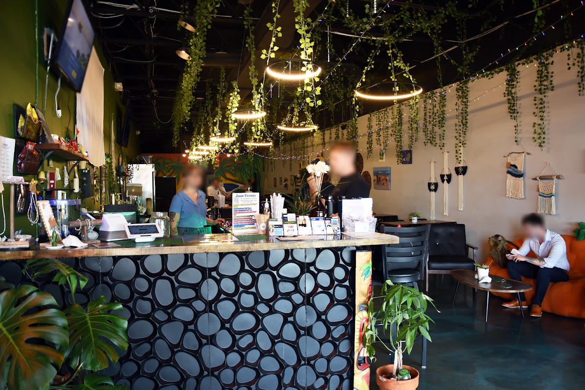 Pau Hana Kava Bar photo 2